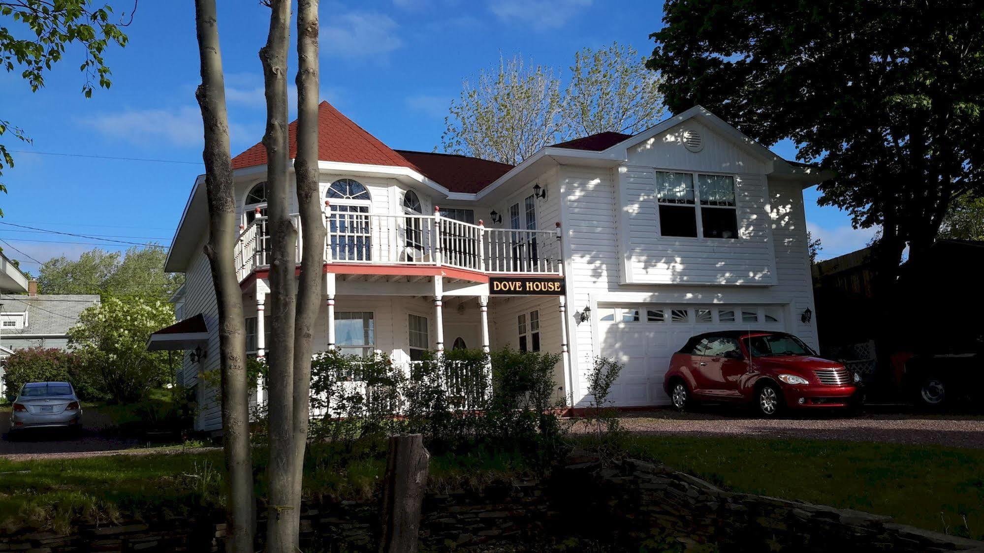 Dove House Bed & Breakfast Harbourside North Sydney Eksteriør billede