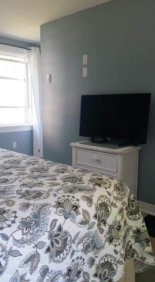 Dove House Bed & Breakfast Harbourside North Sydney Eksteriør billede